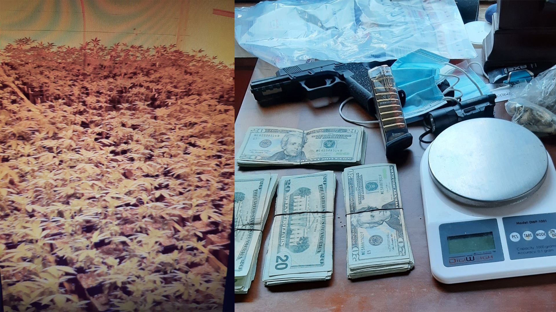Cannabis, a firearm, cash, and scales