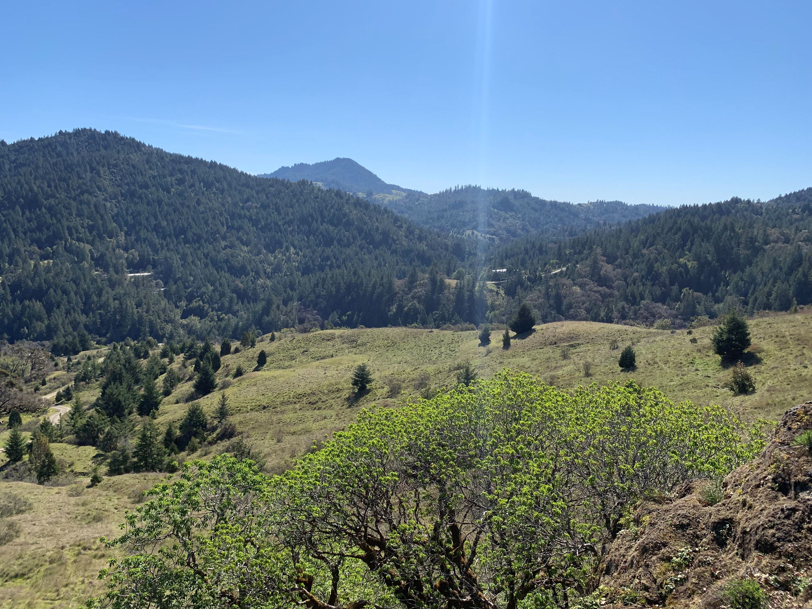 Salmon Creek Landscape