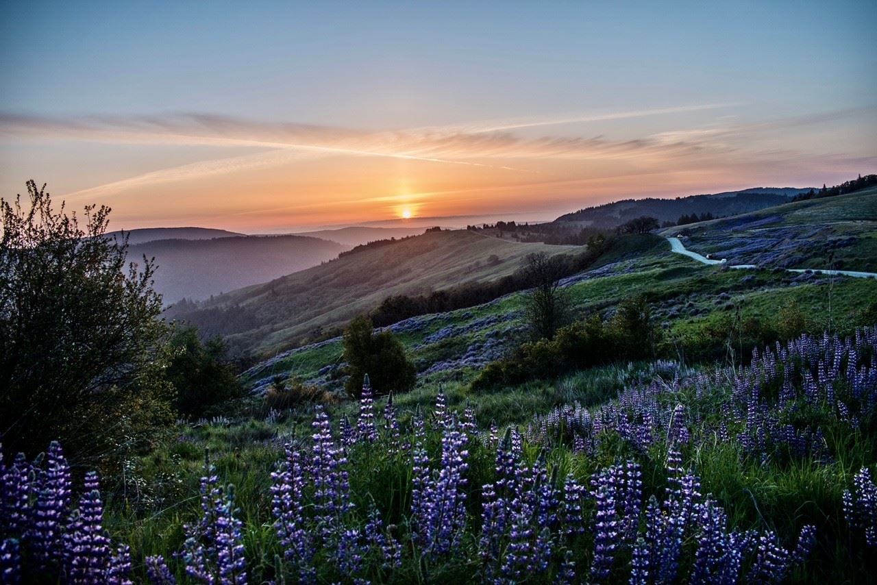Sunset on Bald Hills by Lisa Wilhelmi-Perkins