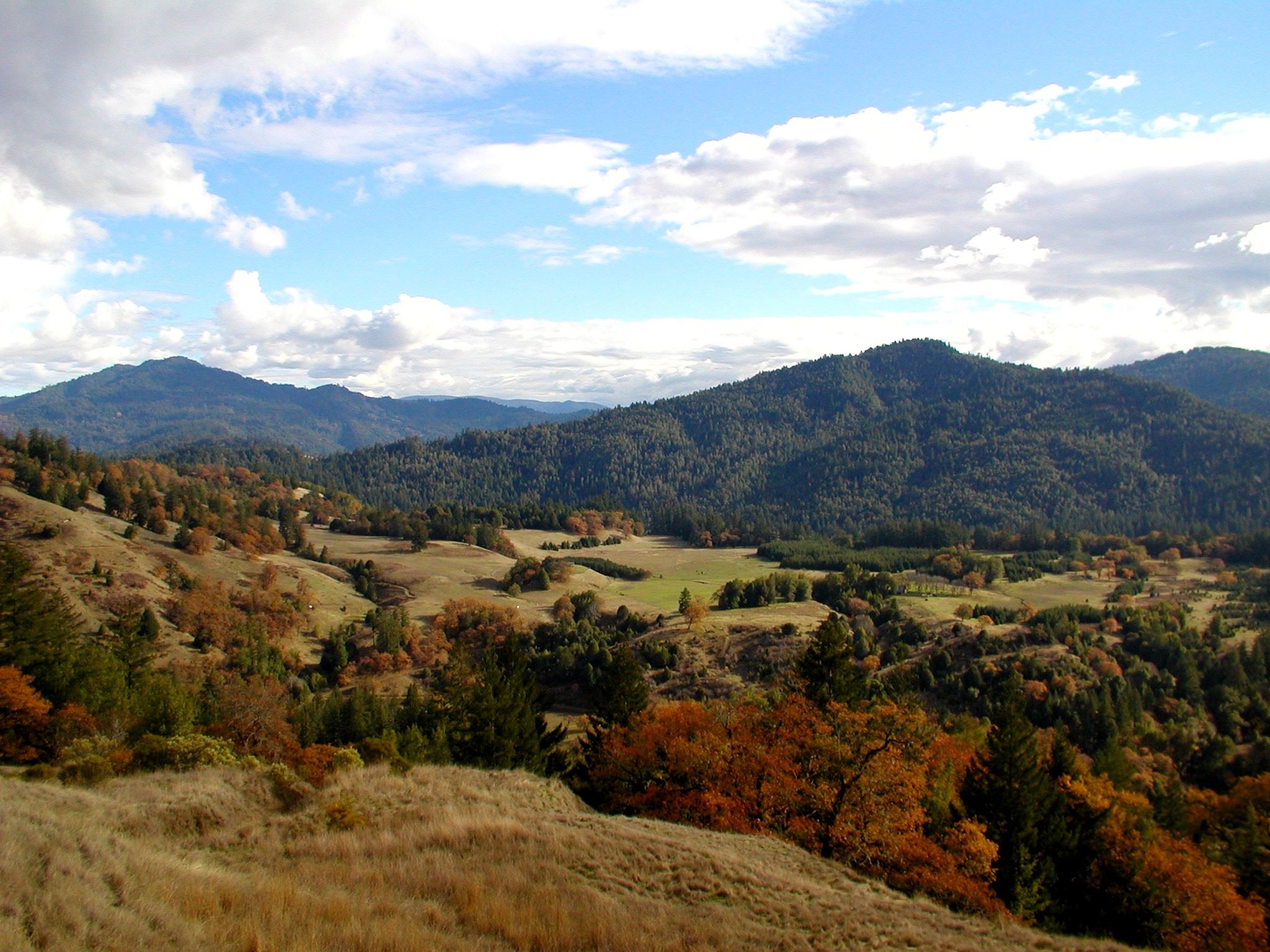 View from Old Briceland Road