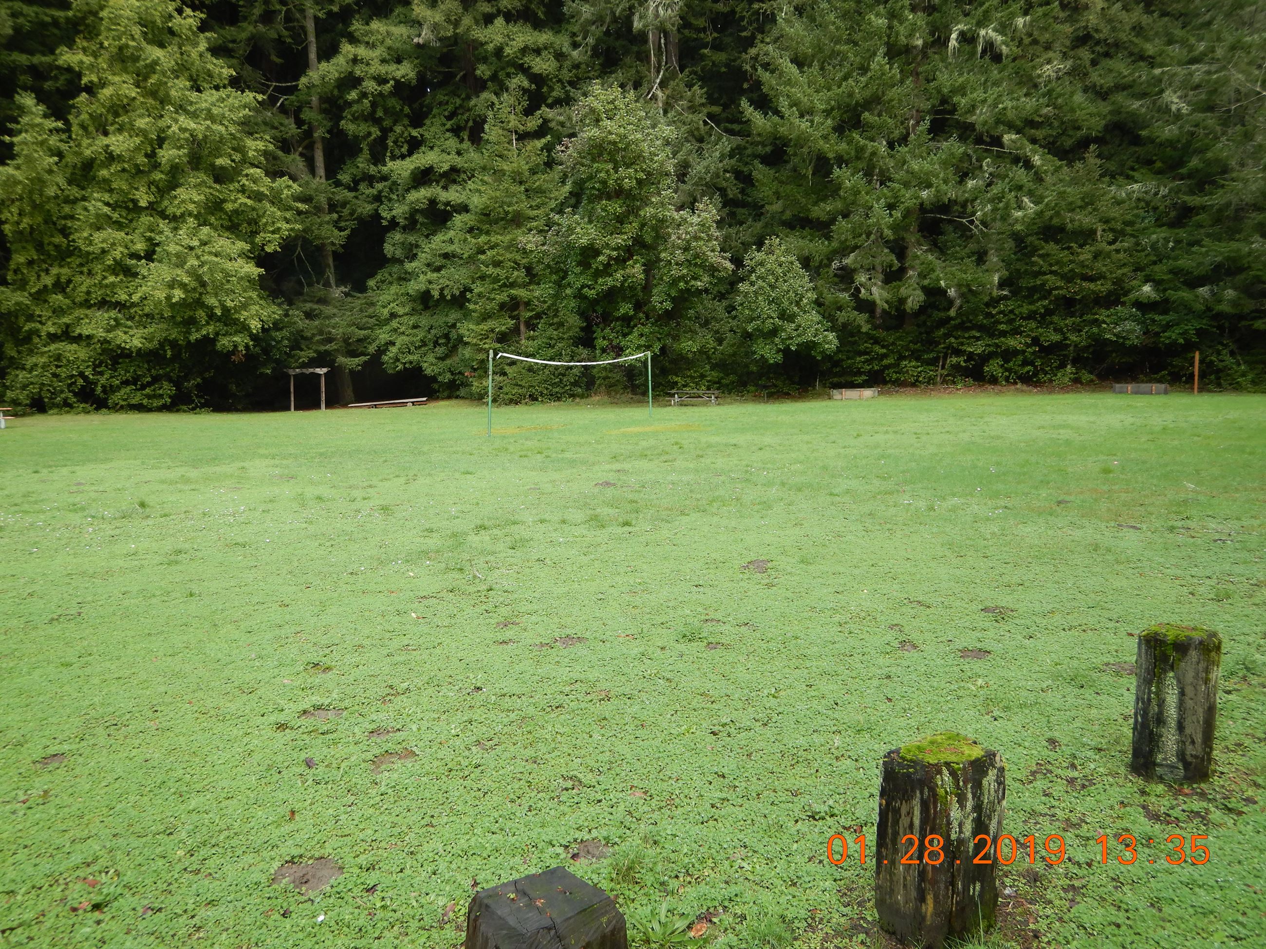 Volleyball_Pamplin Grove