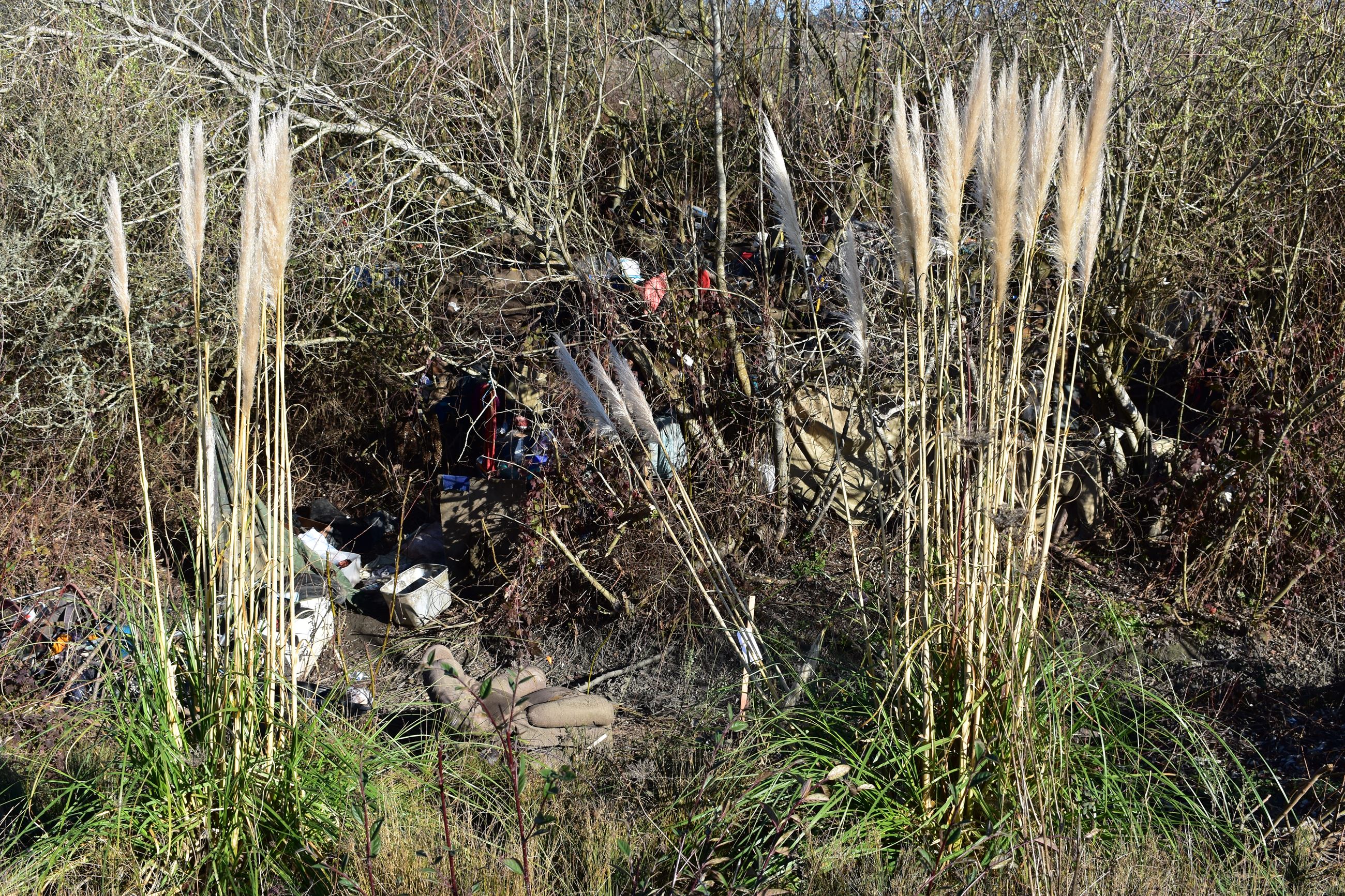 Wymore Road  01-30-2019 pic  (11)