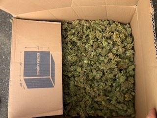 Moving box filled with cannabis