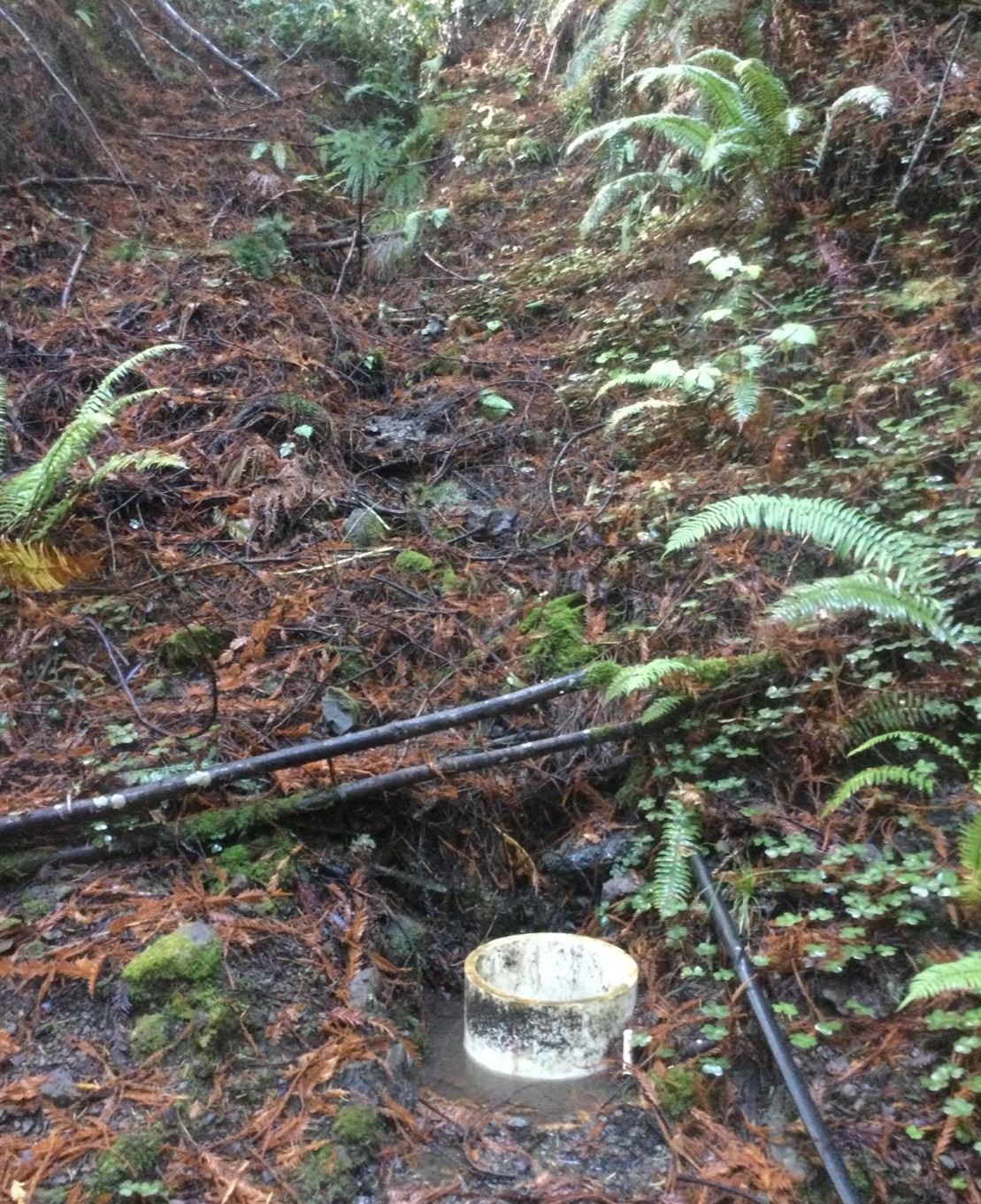 Surface water diversion