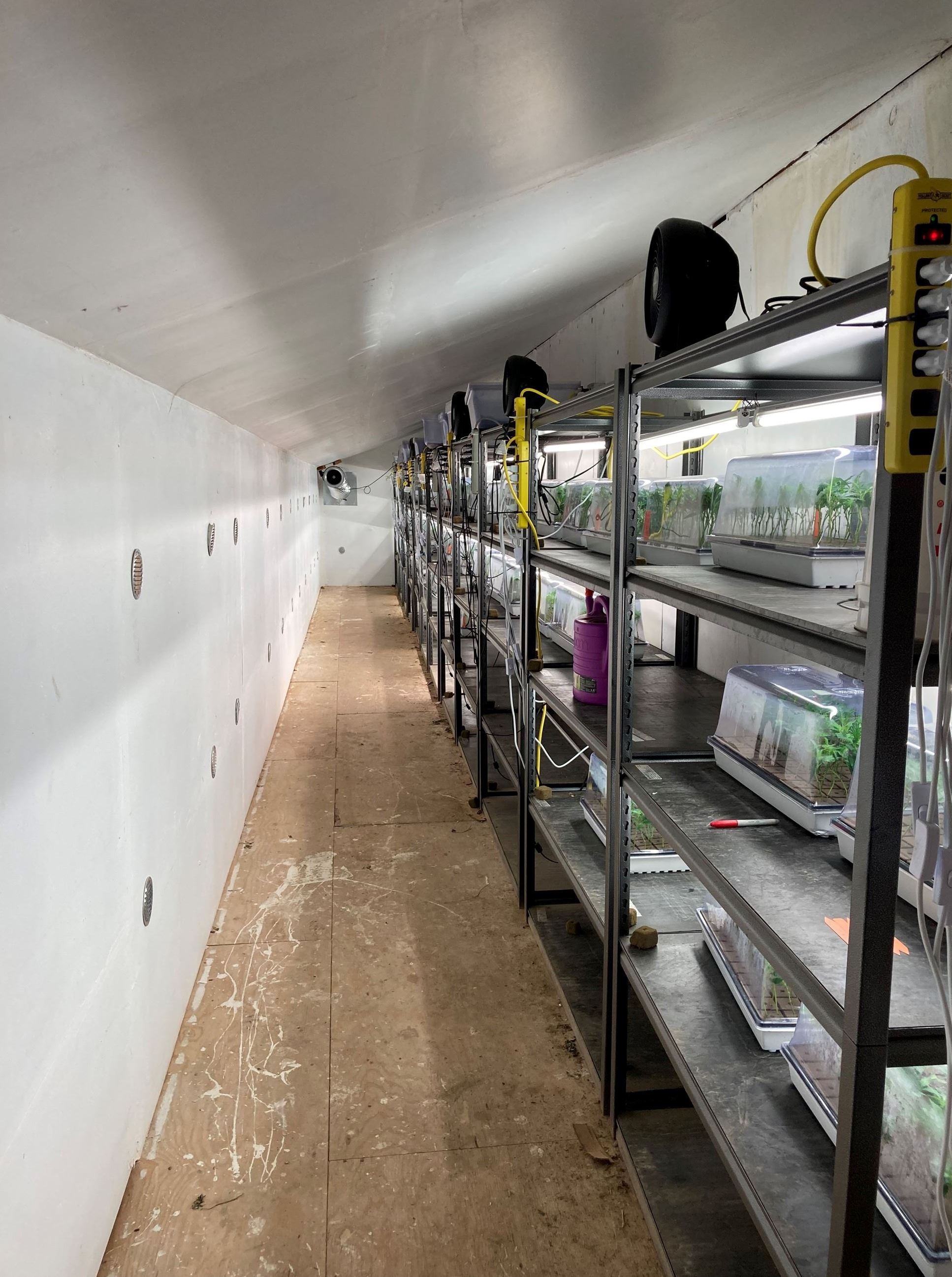 Illegal indoor cannabis cultivation