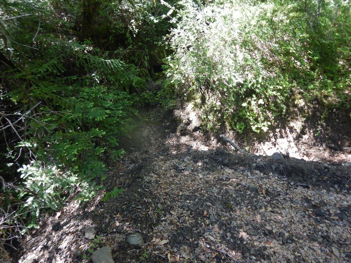 Ditch recently excavated into stream bank