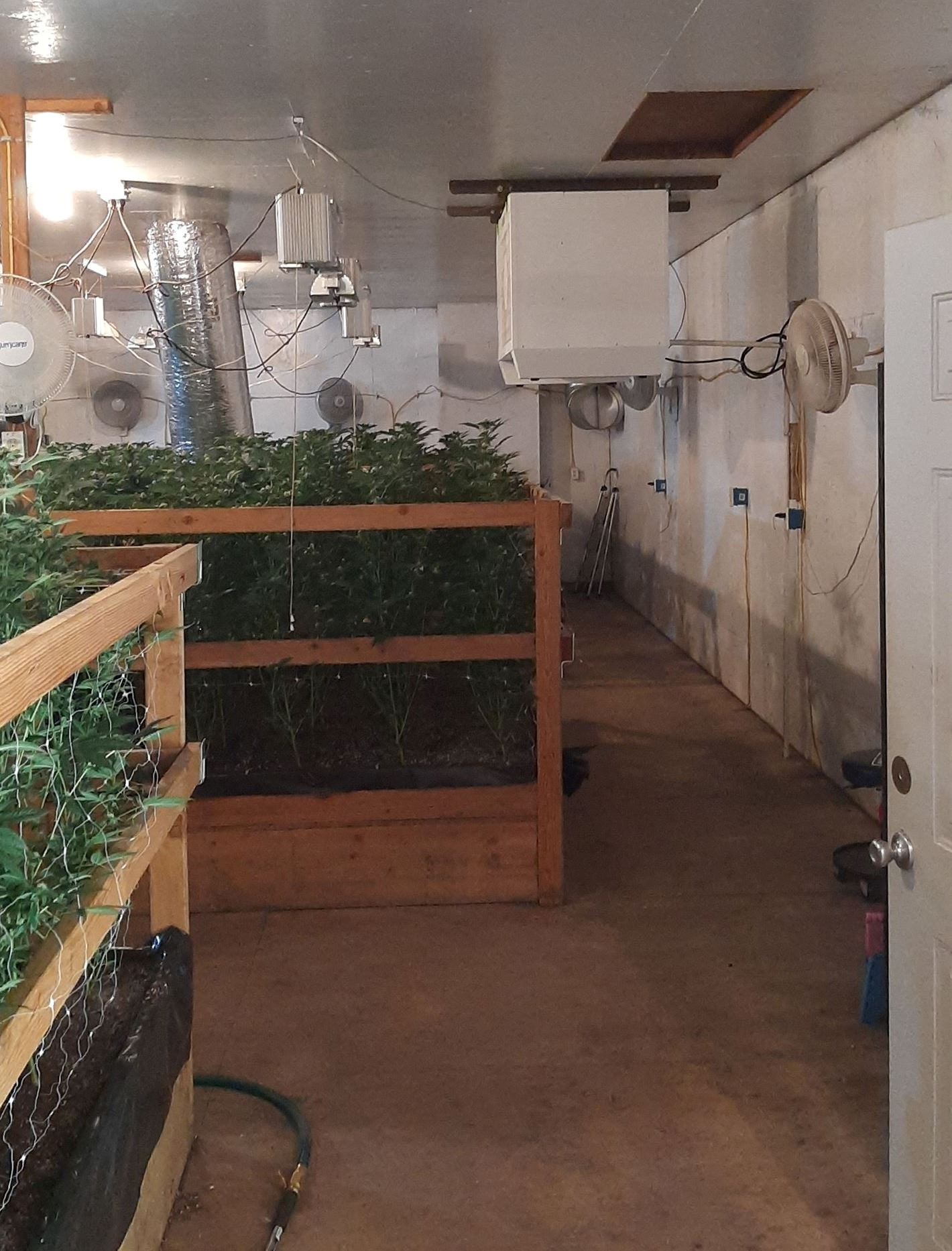 Indoor cannabis cultivation