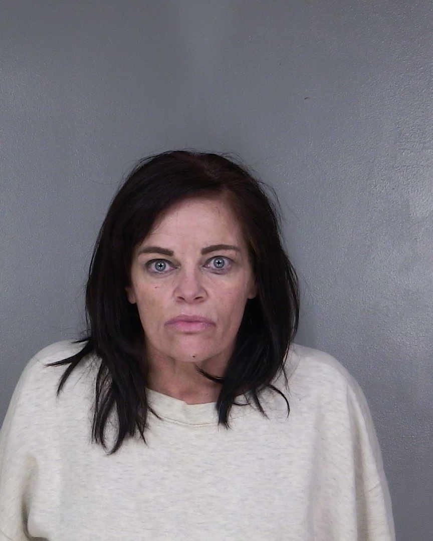 brandy booking photo