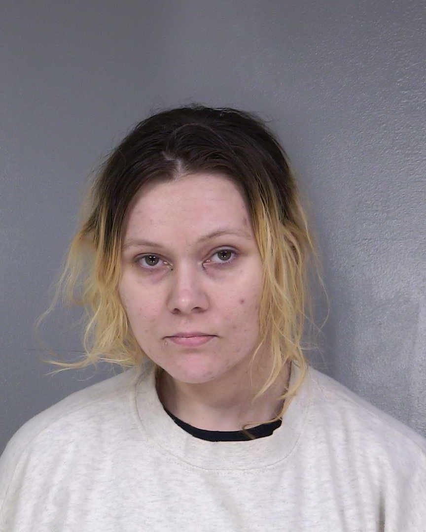Ellis Booking Photo