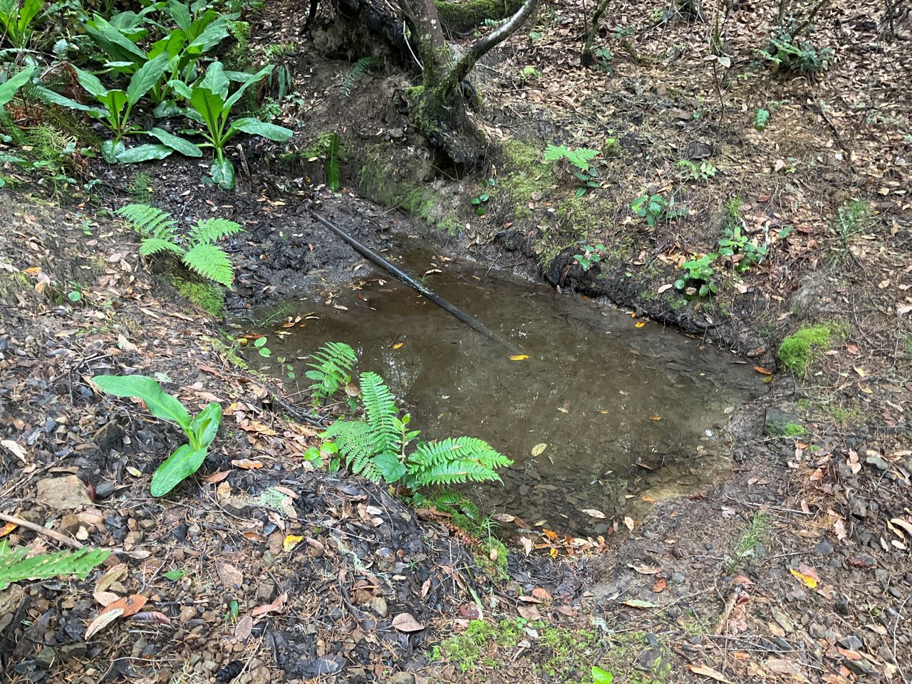 Stream impoundment and point of diversion