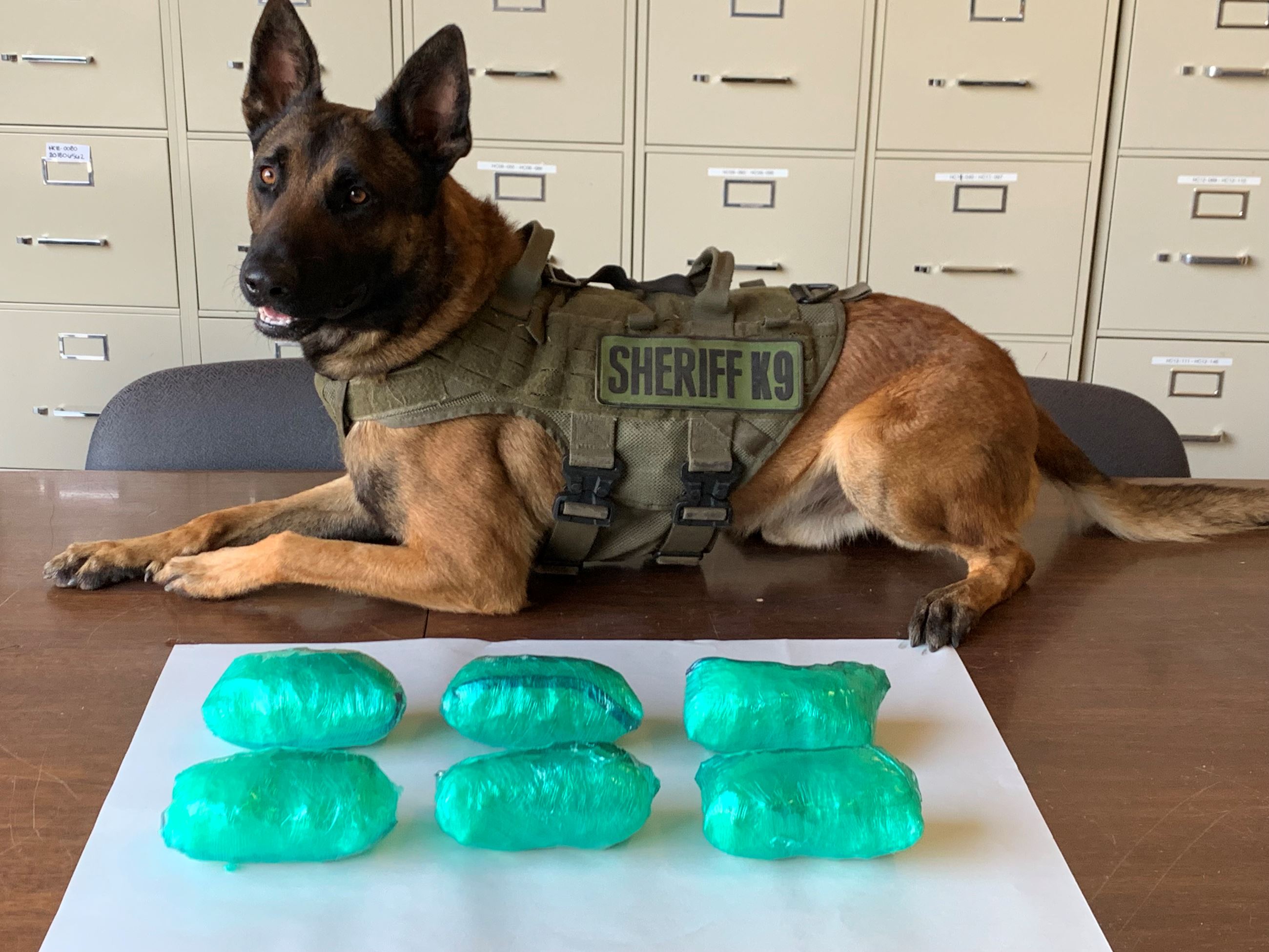 K9 Rex and six pounds of methamphetamine 