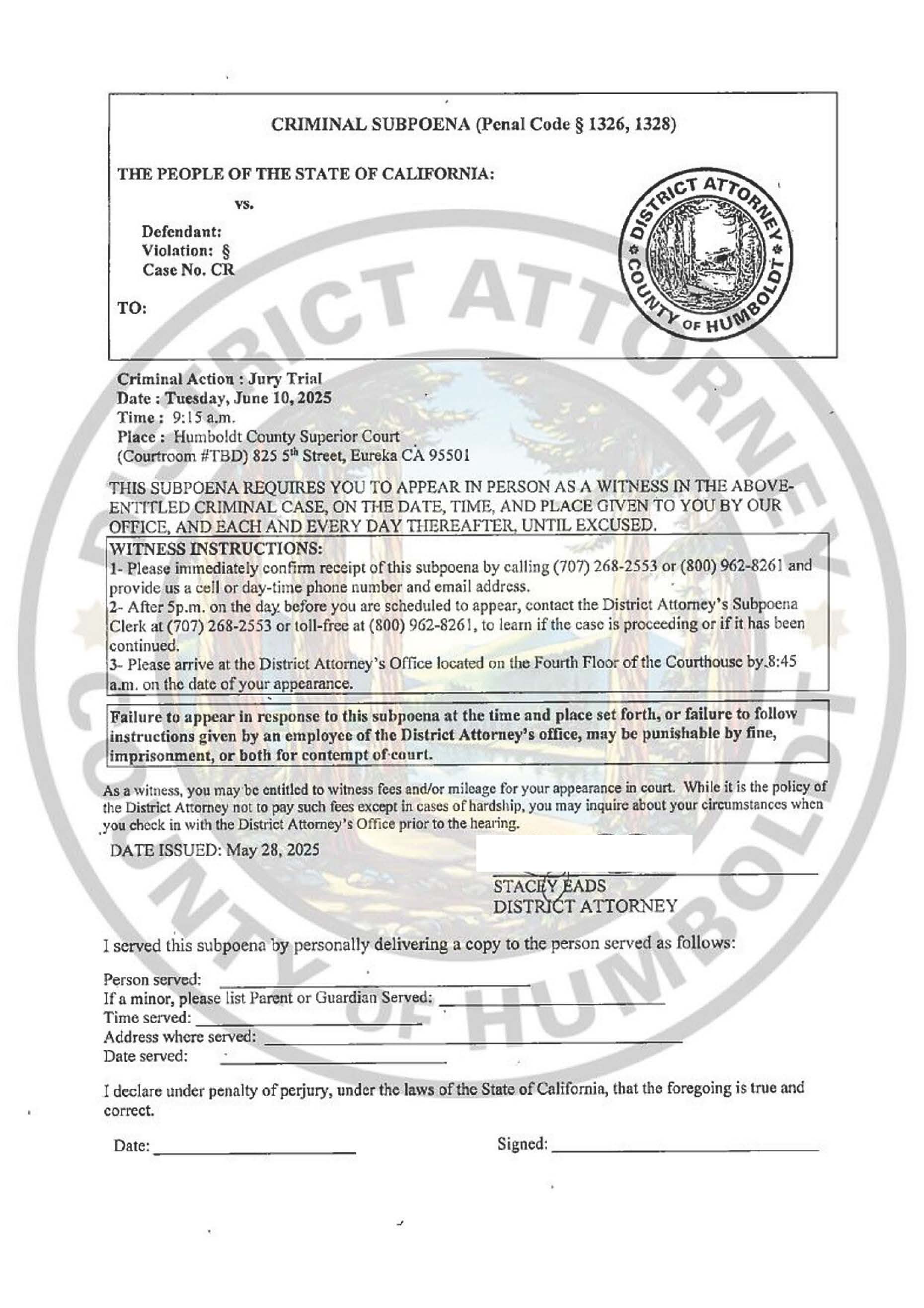 Jury Trial Subpoena Example