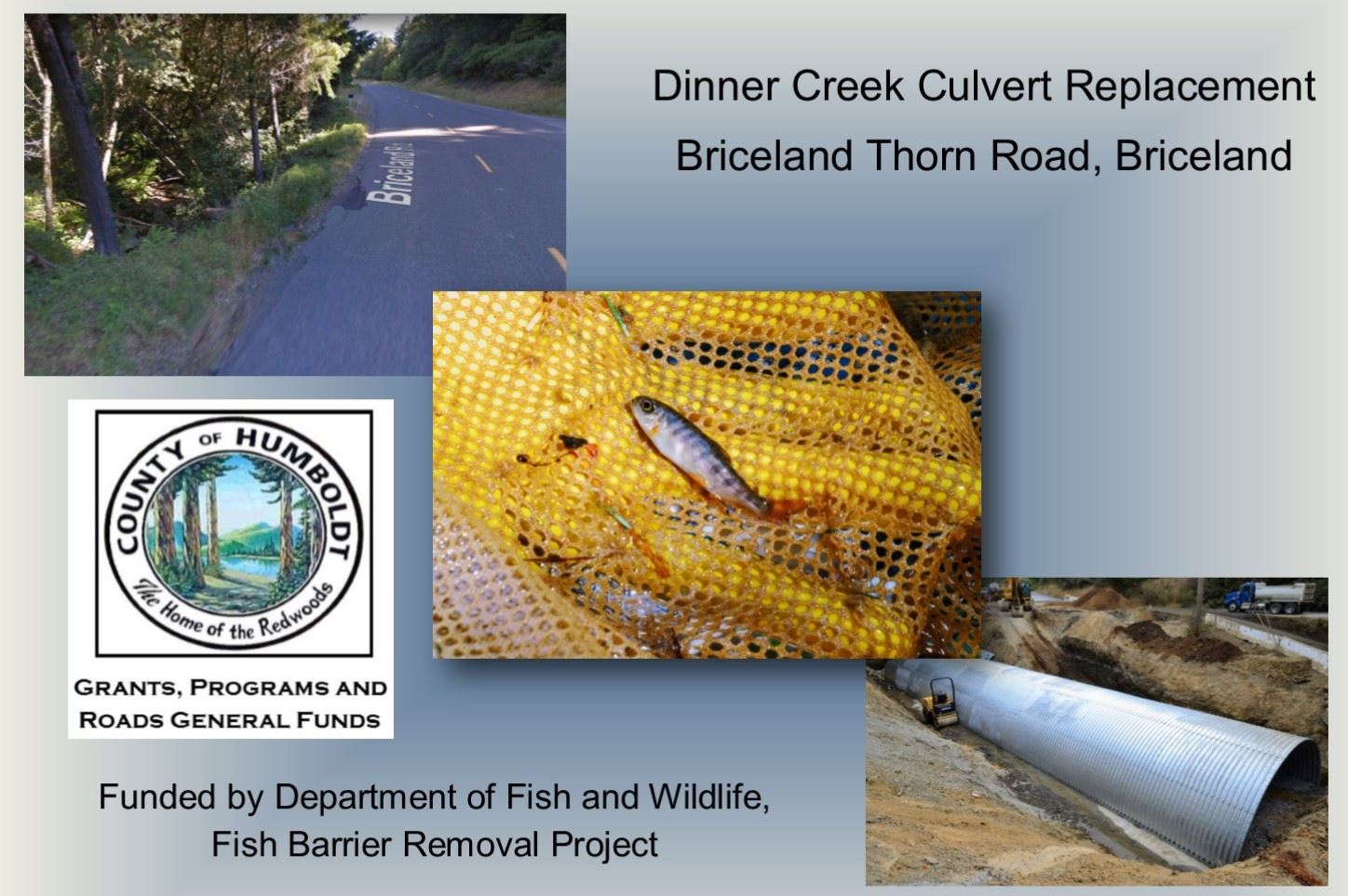 Dinner Creek album cover