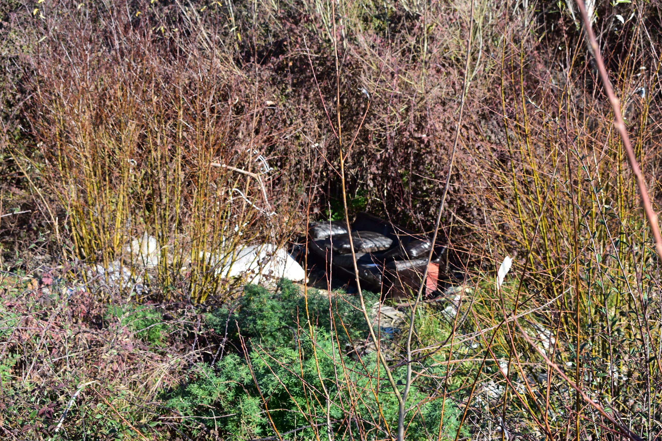 Wymore Road 01-30-2019 pic (18)