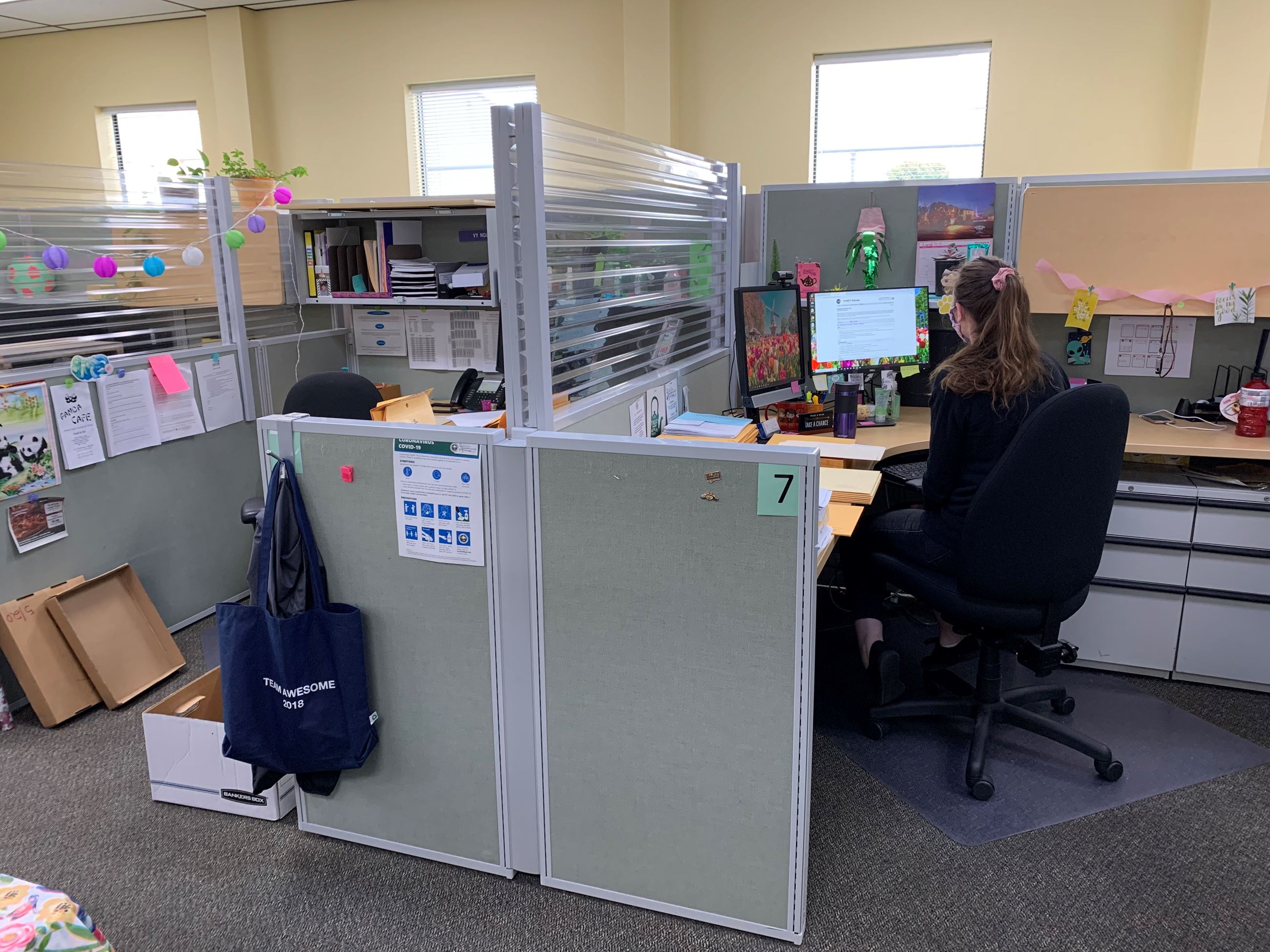DHHS employee at Koster campus at her workstation featuring dividers installed by Helping Humboldt