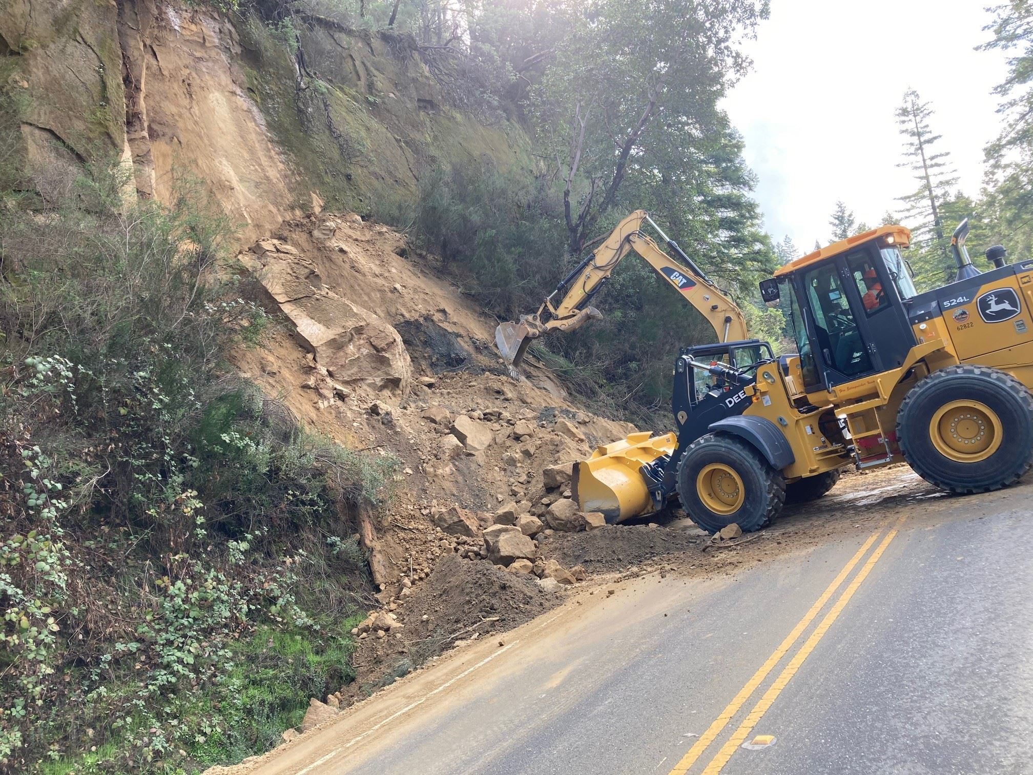 Slide on Redwood Drive #1