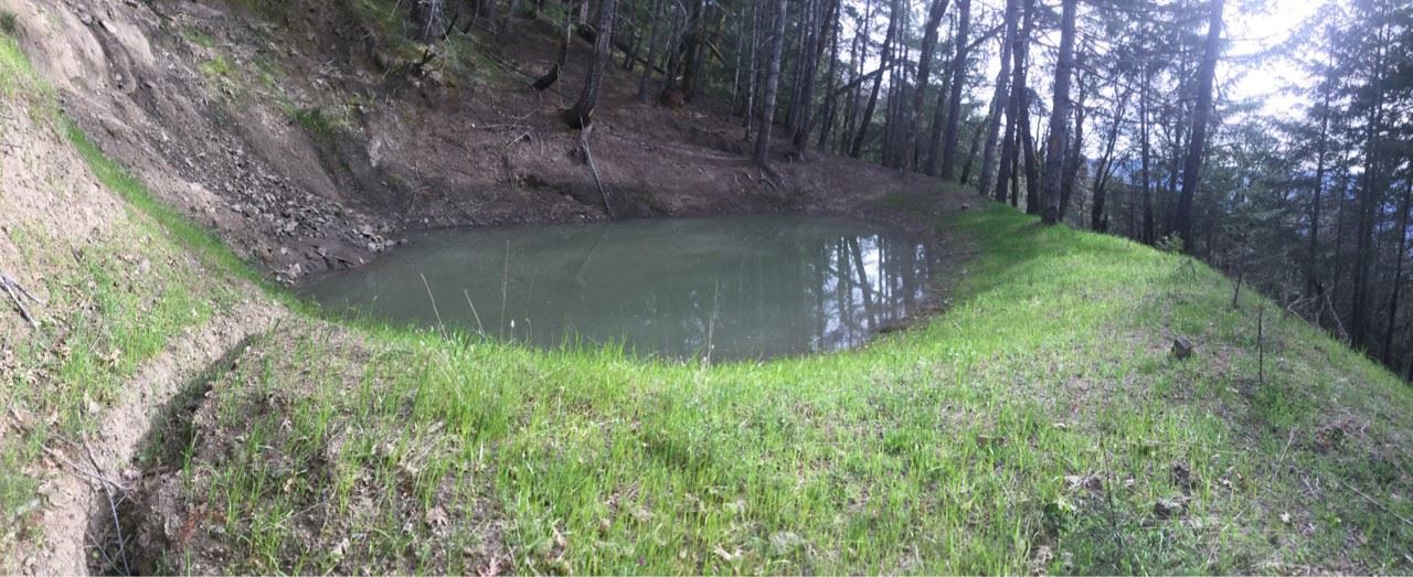 Illegal water diversion in Dobbyn Creek area.