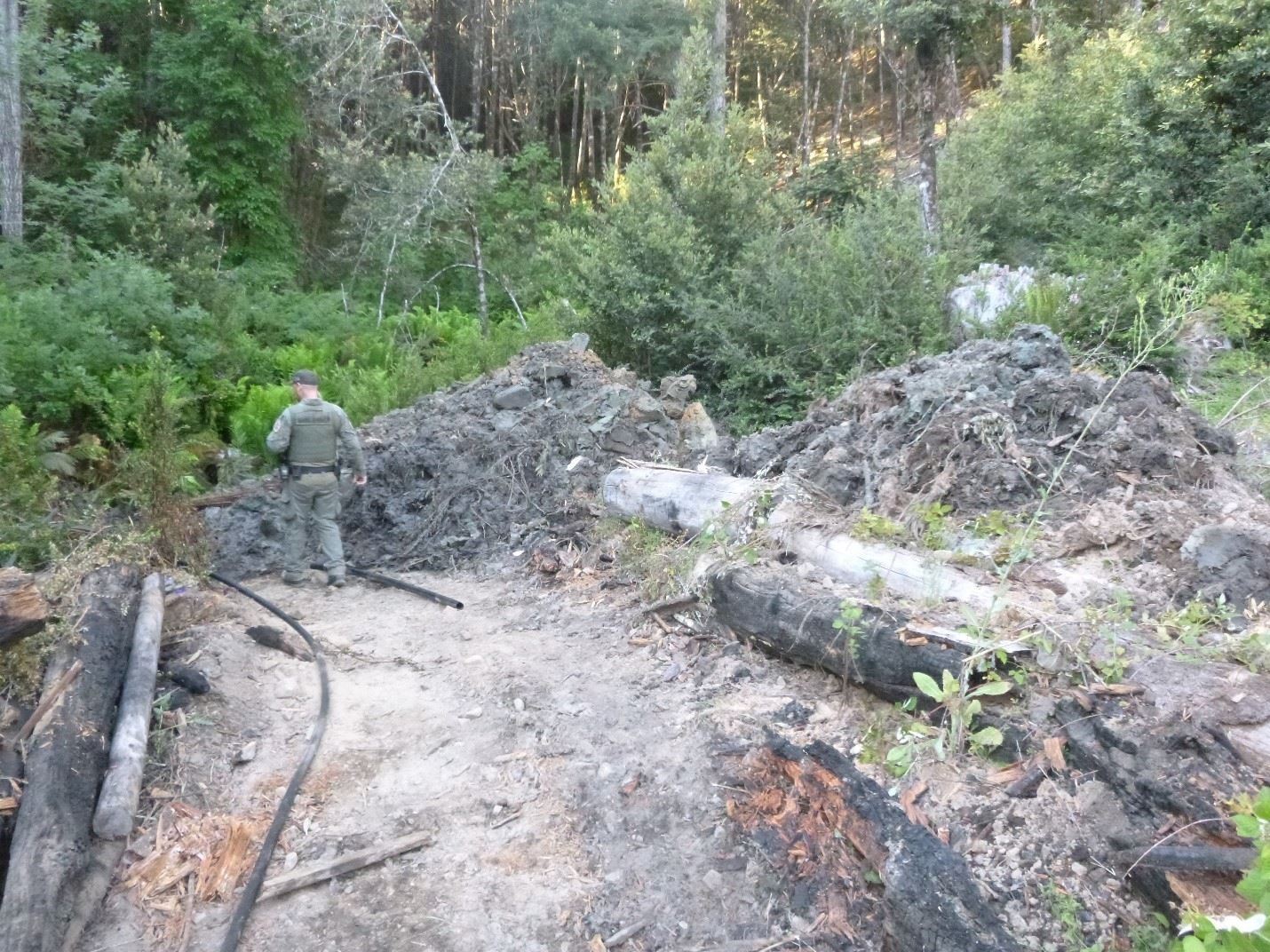 Creek dammed up and 100% of flow being diverted to Illegal cultivation