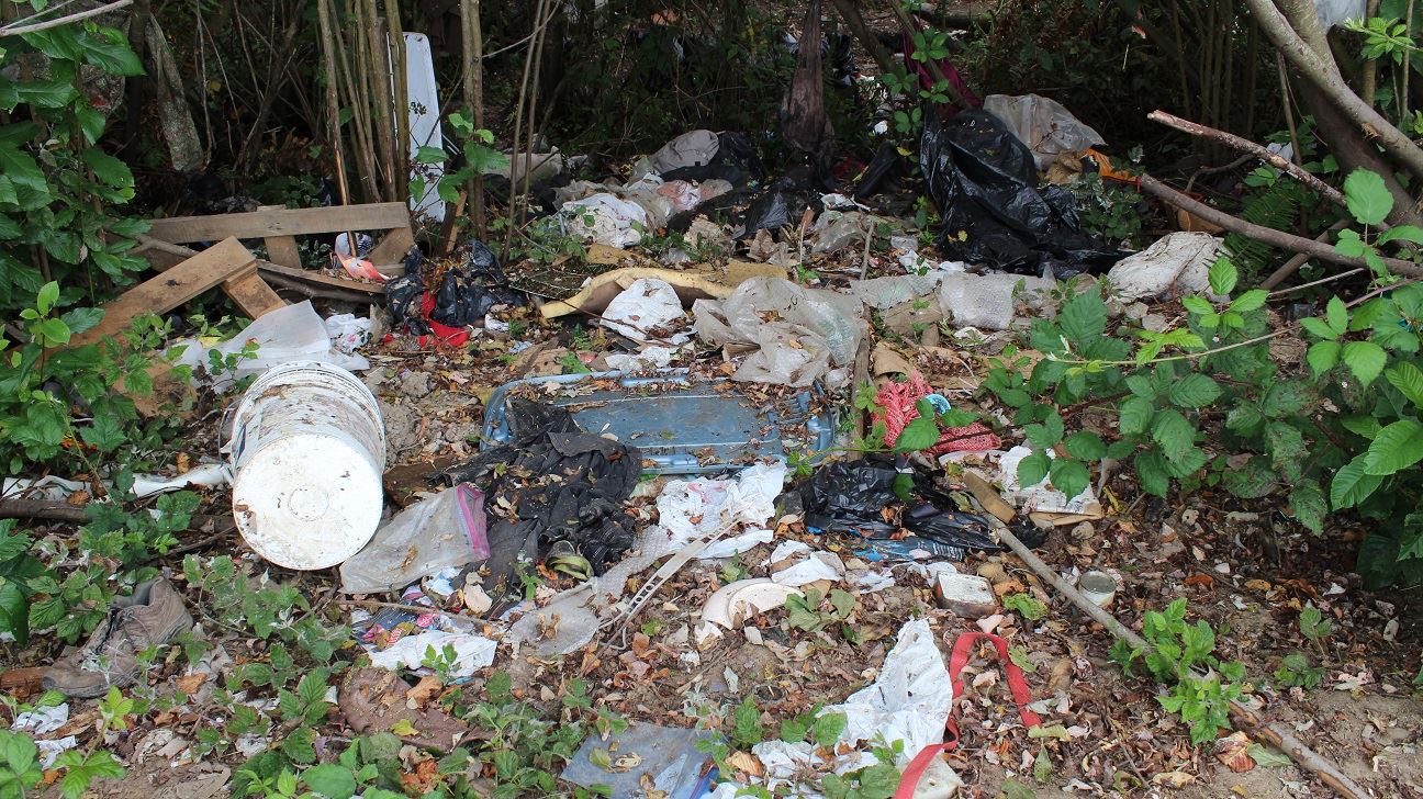 Samoa & V Street Clean-Up