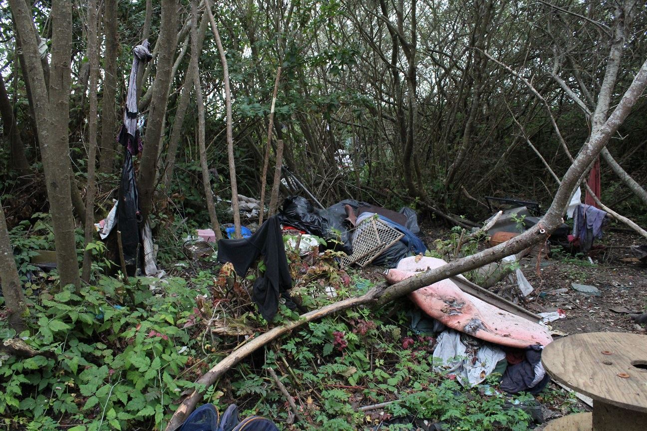 Samoa & V Street Clean-Up