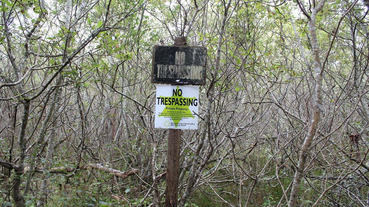 Samoa & V Street Clean-Up