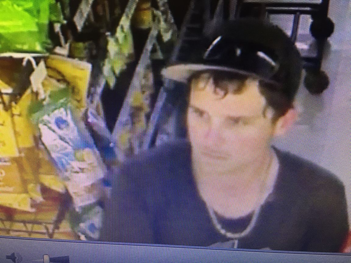 Vehicle Burglary Suspect