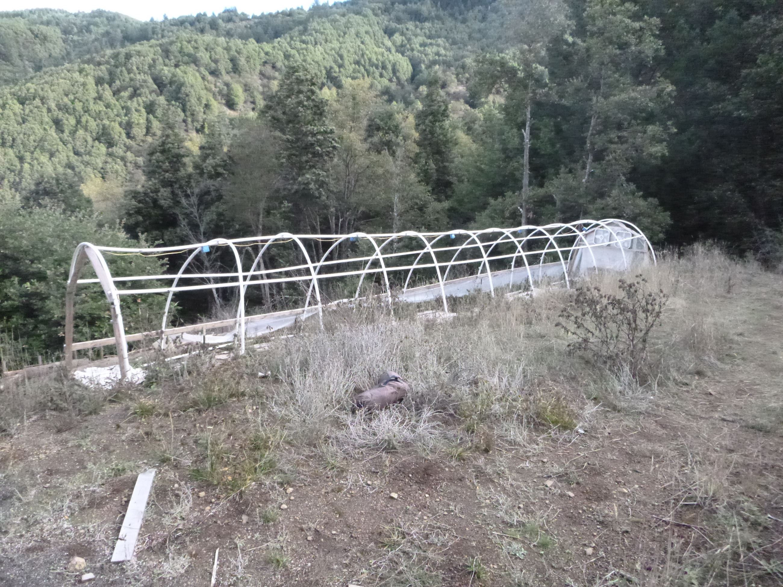 Marijuana Eradication - Case 201605245