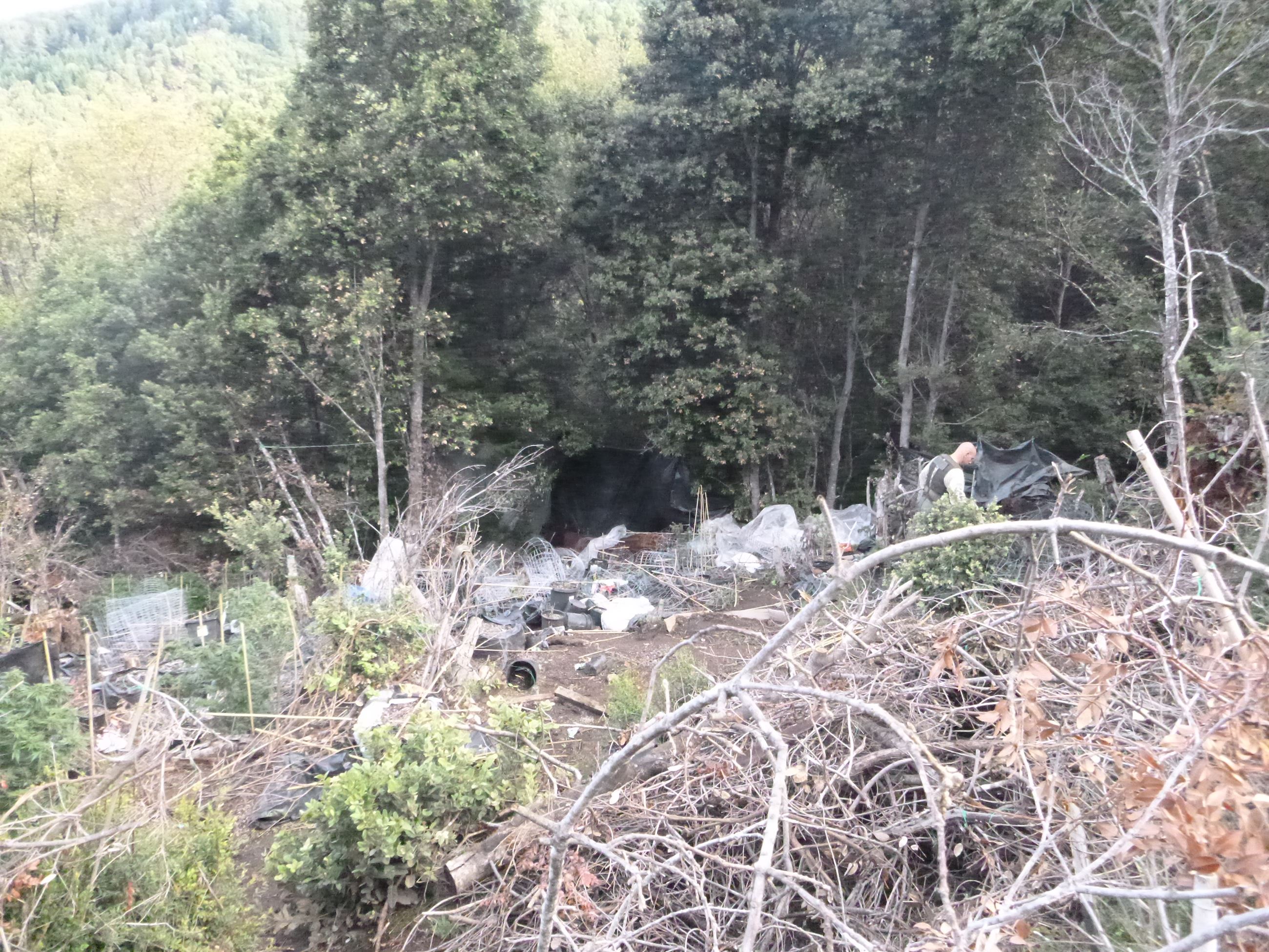 Marijuana Eradication - Case 201605245