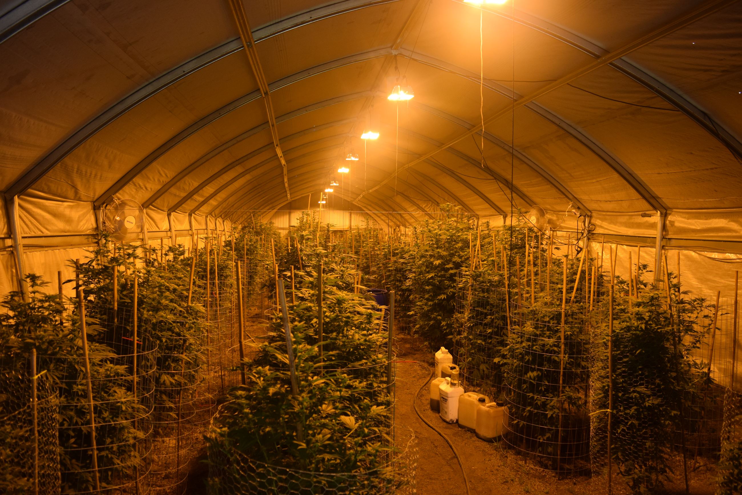 Search Warrant - Case 201602620