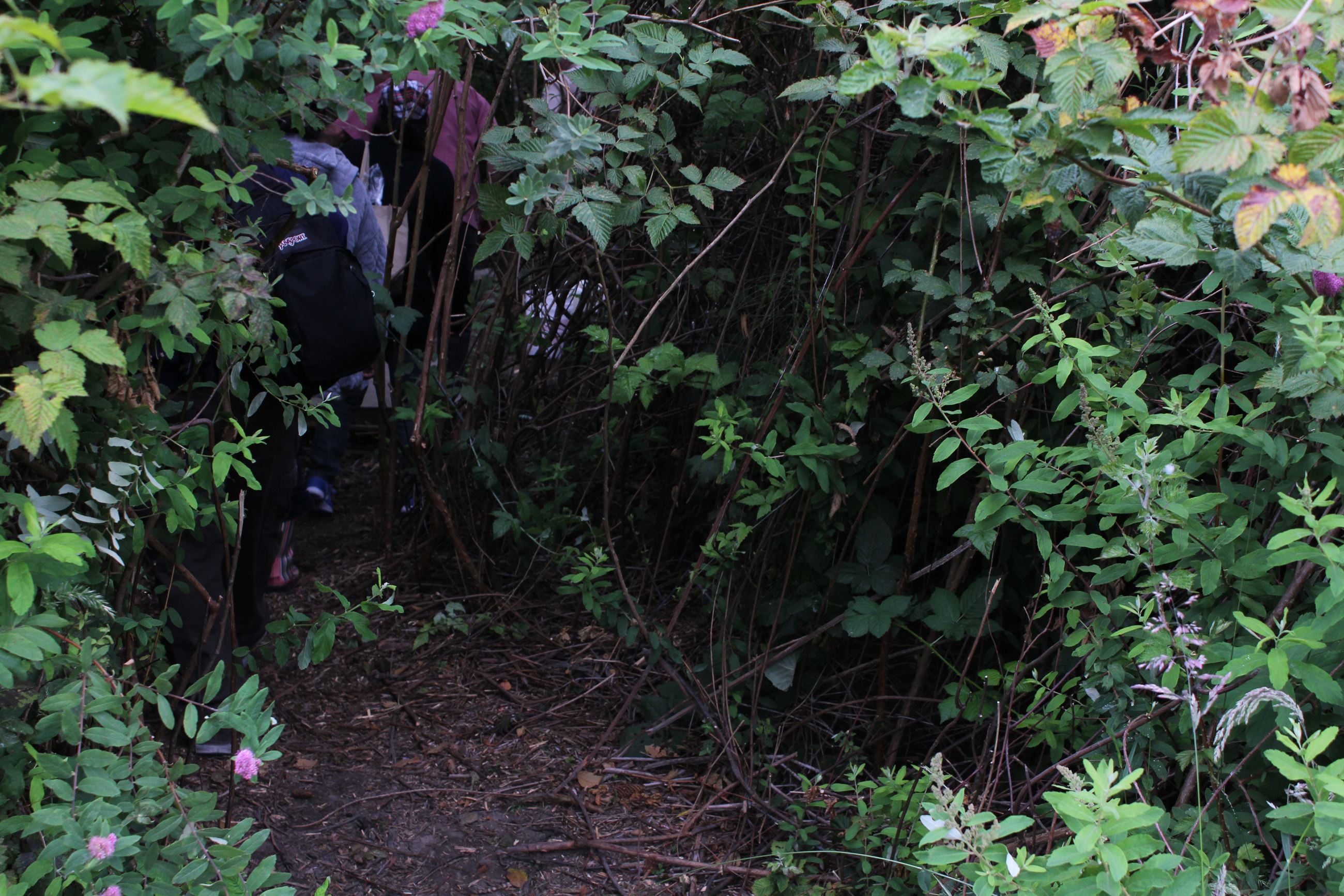 Central Avenue Camp #1