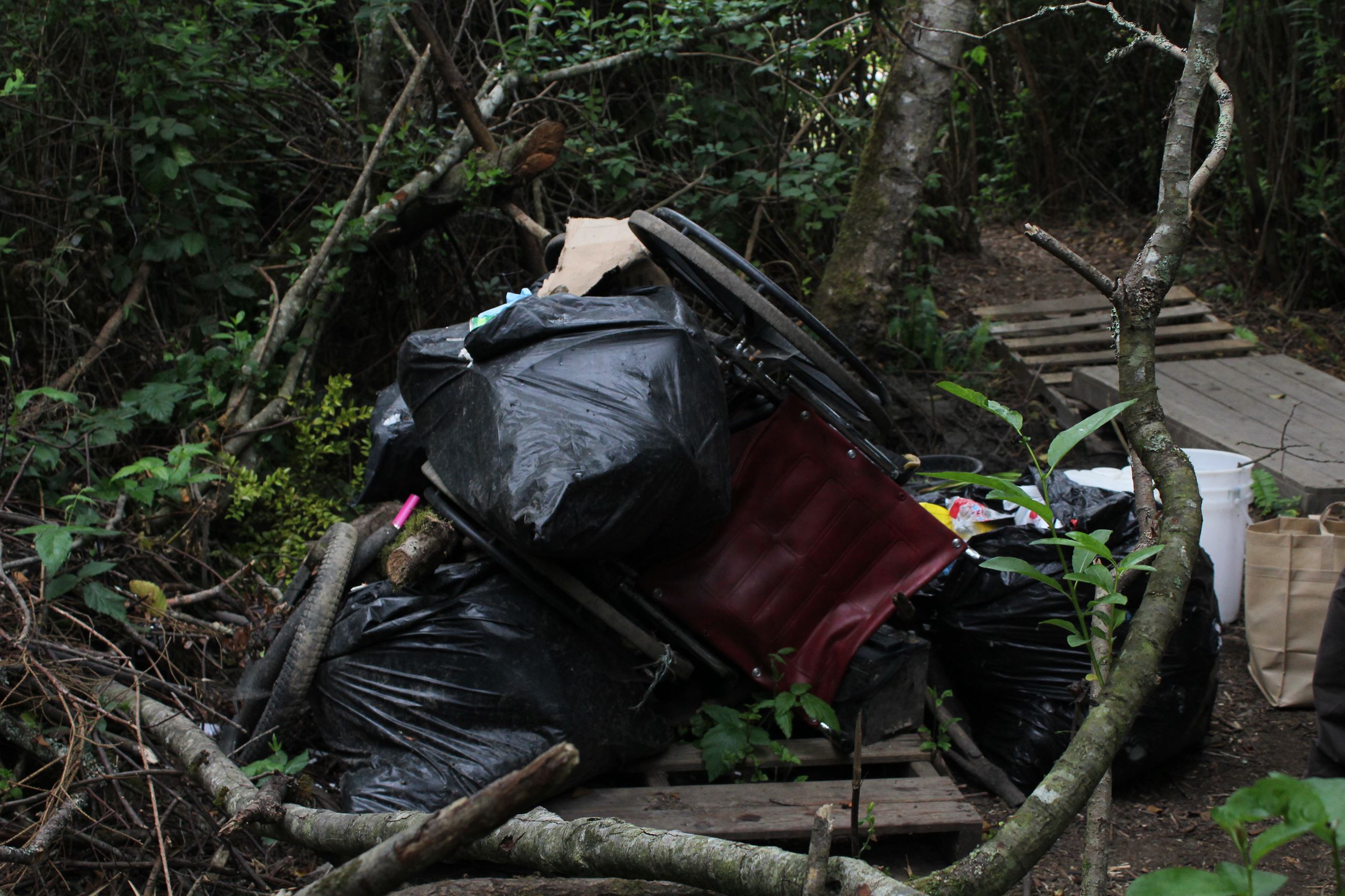 Central Avenue Camp #1