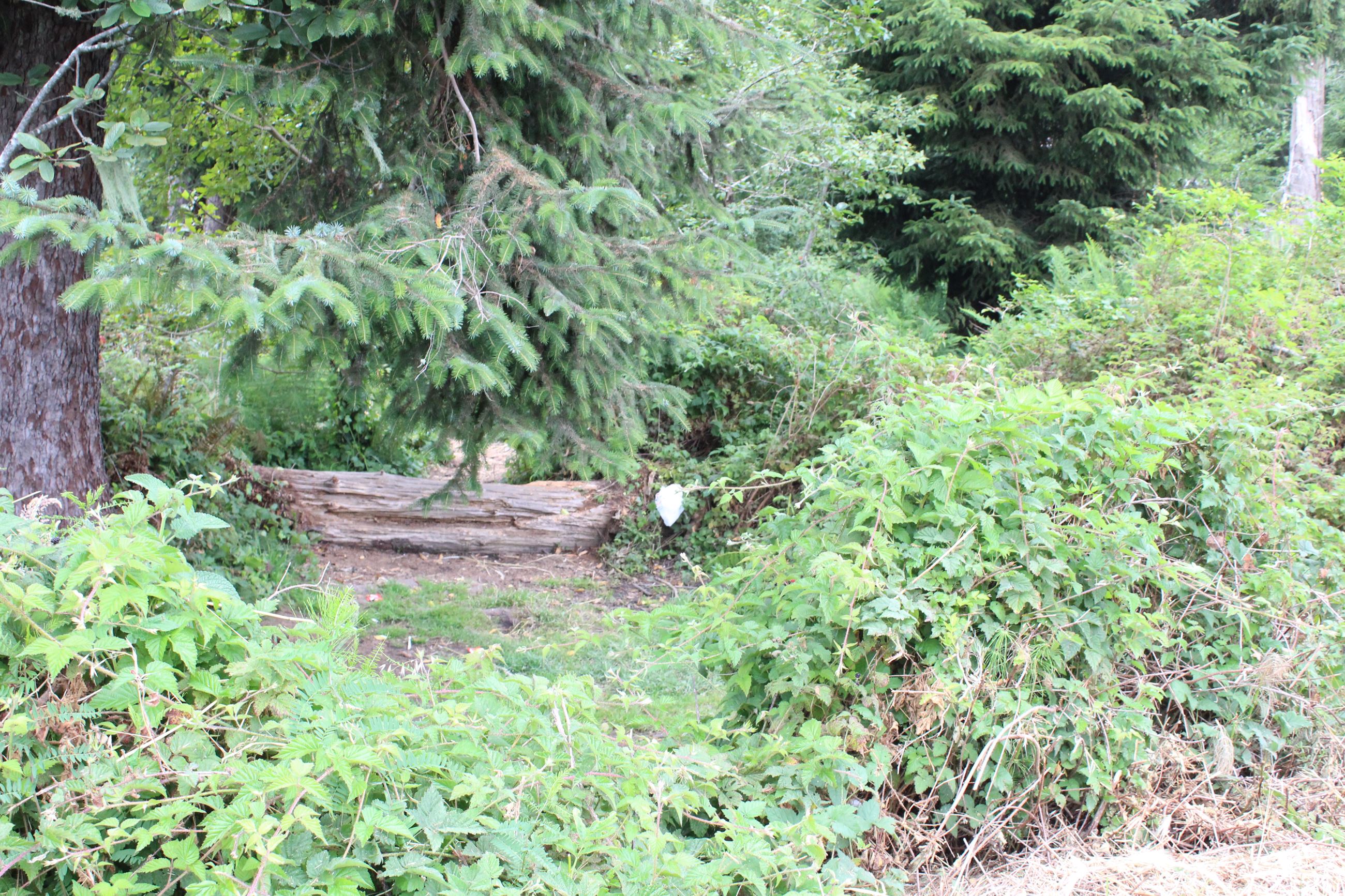 Central Avenue Camp #2