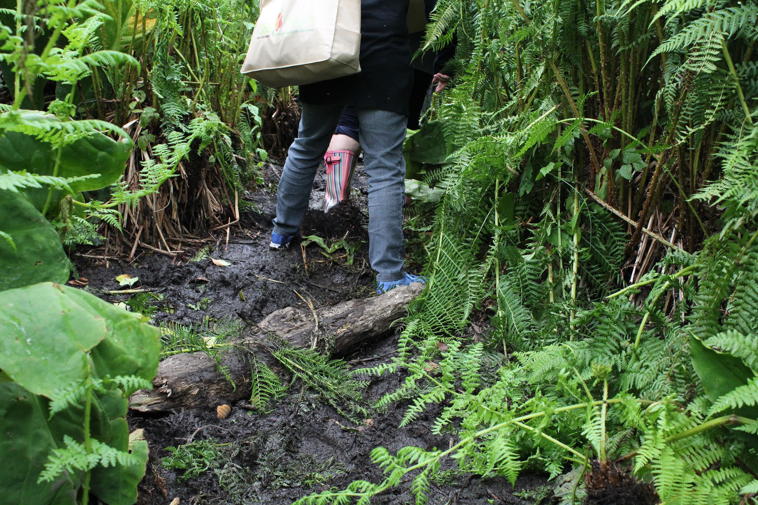 Central Avenue Camp #2