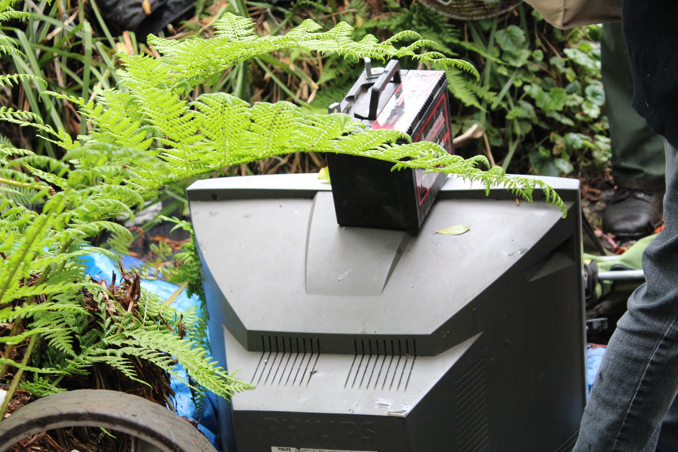 Central Avenue Camp #2