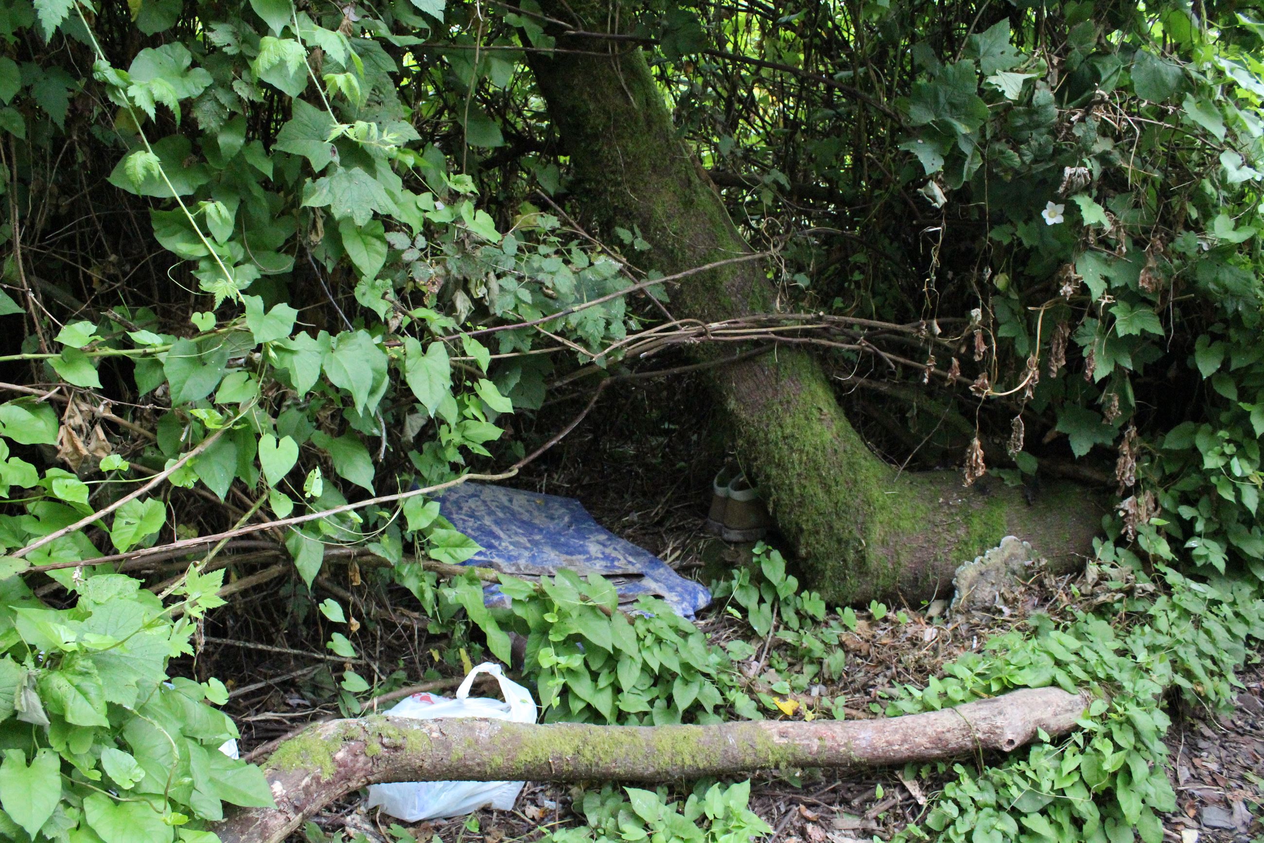 Mad River Campsite #1