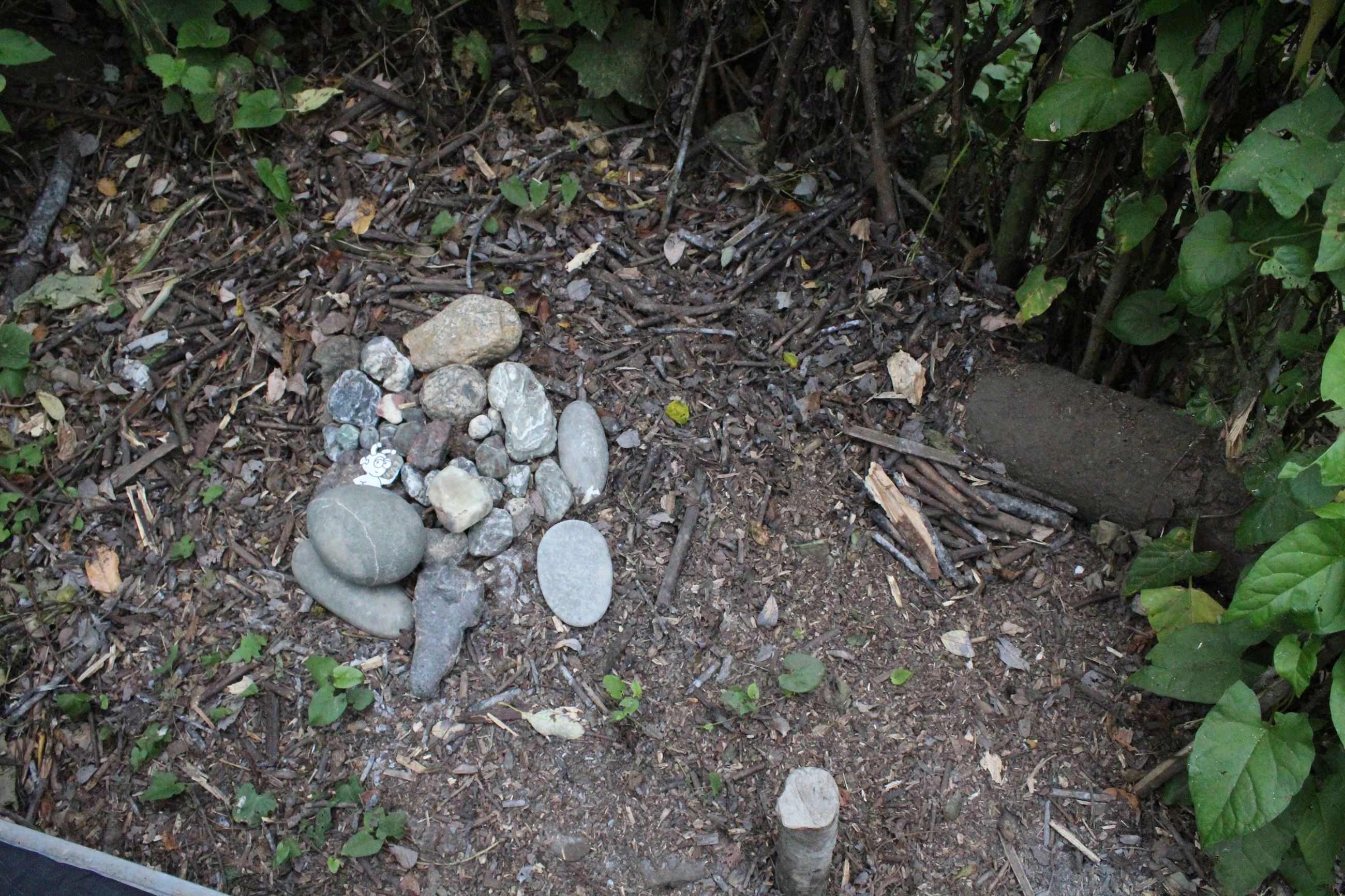 Mad River Campsite #1