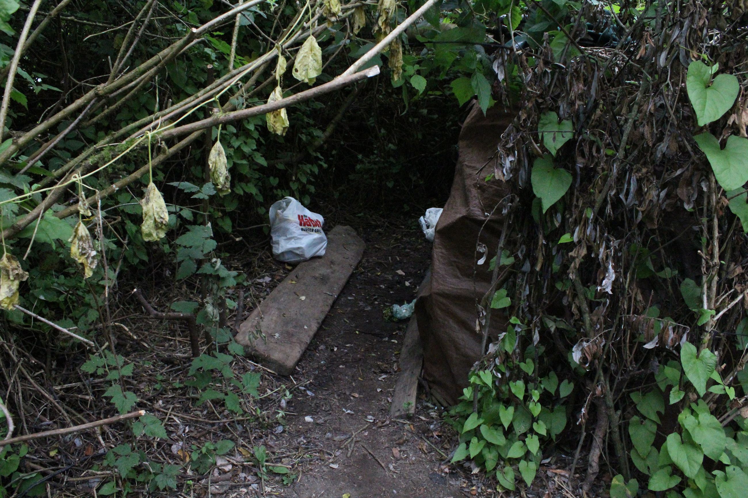 Mad River Campsite #1