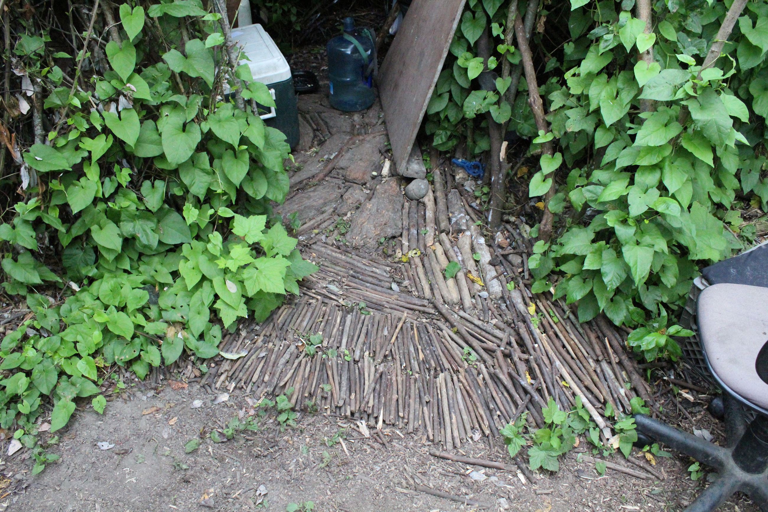 Mad River Campsite #1