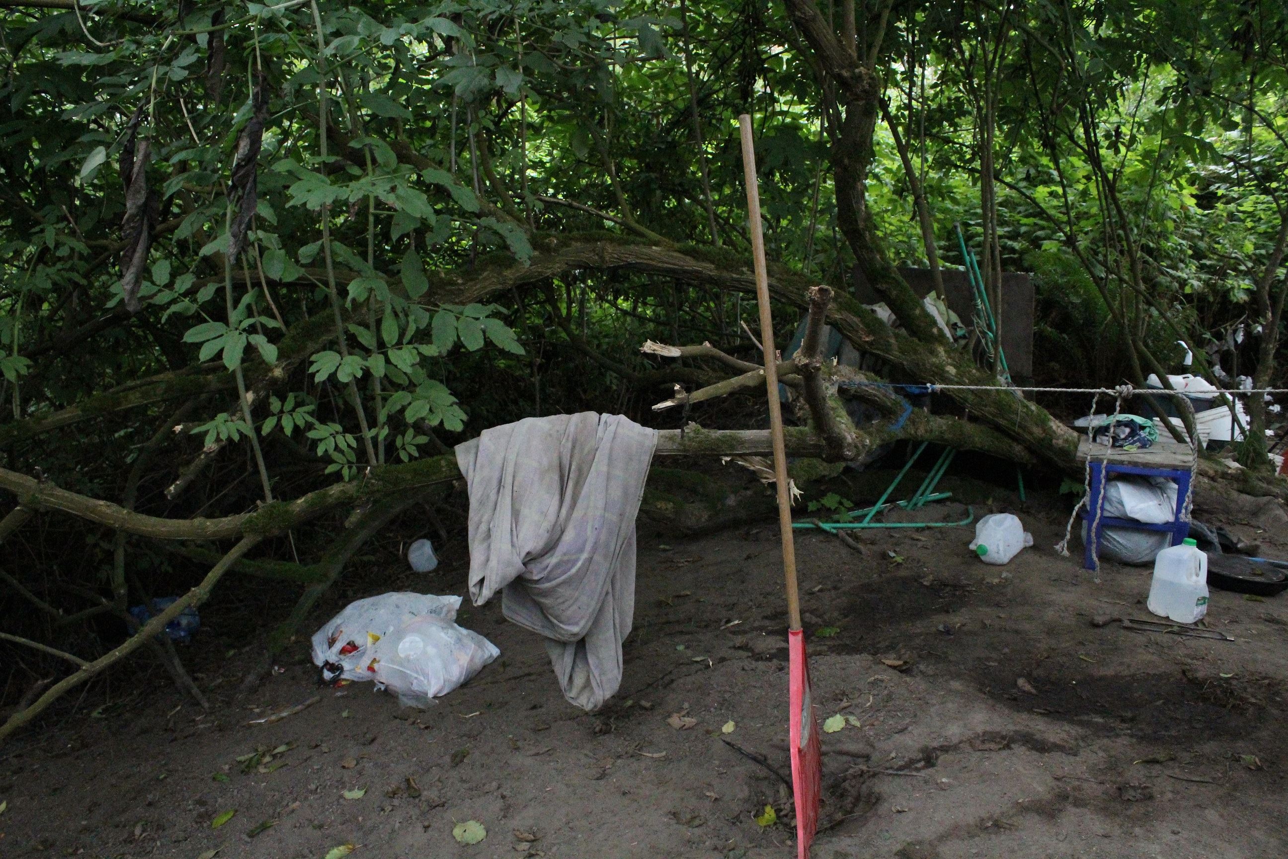 Mad River Campsite #2