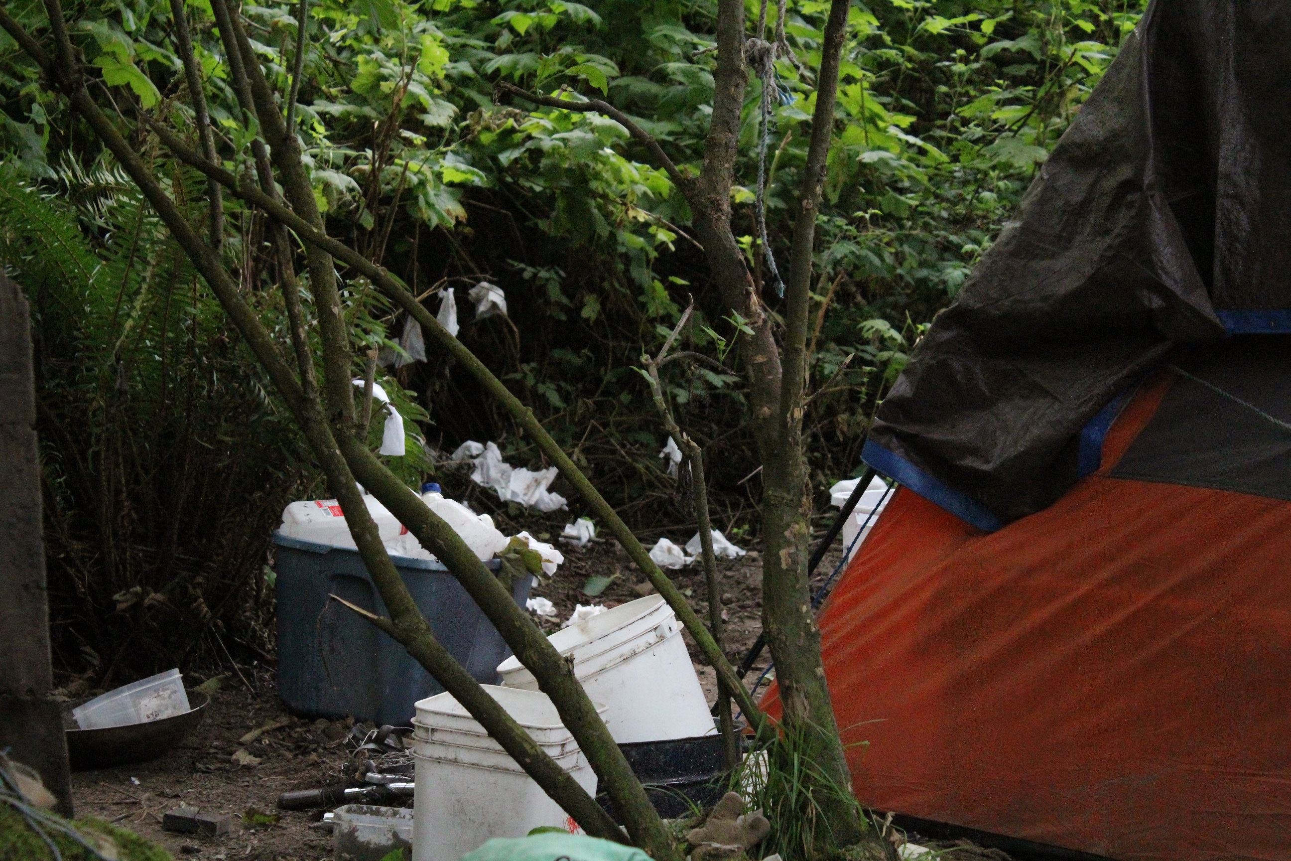 Mad River Campsite #2