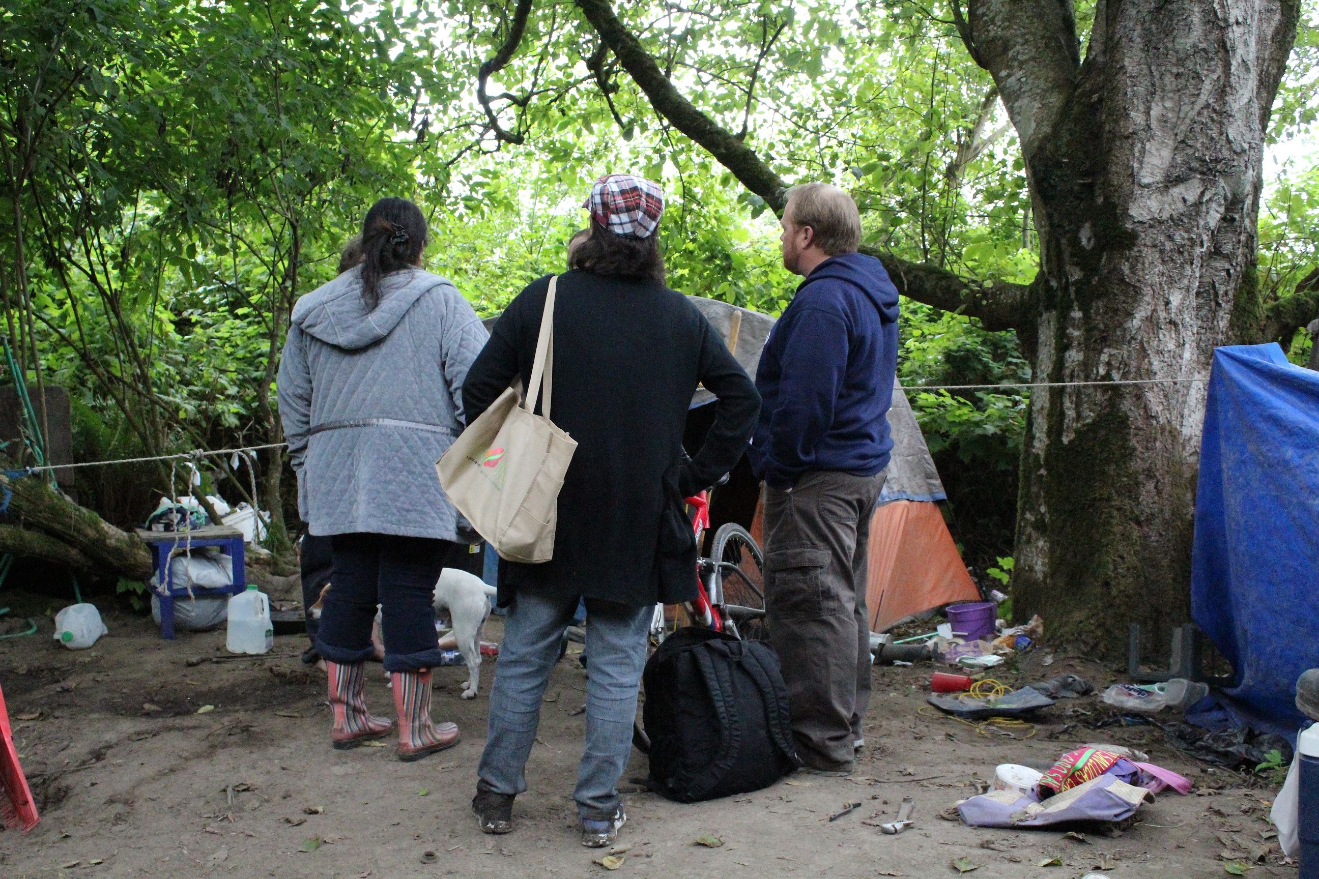 Mad River Campsite #2